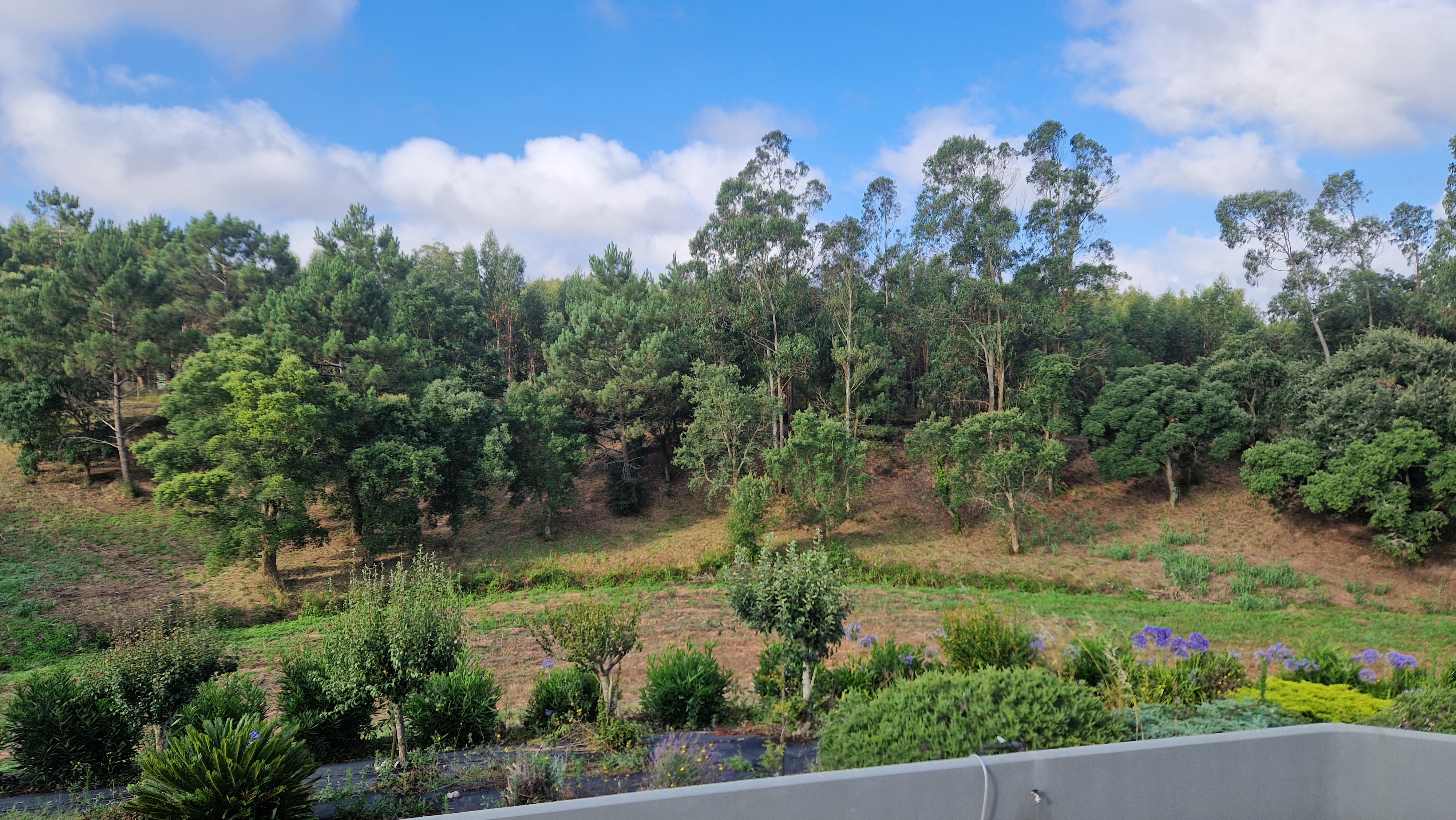 Vila Pinheiro house and surrounding landscape in Central Portugal